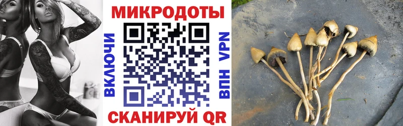 цена   Минусинск  Галлюциногенные грибы Cubensis 