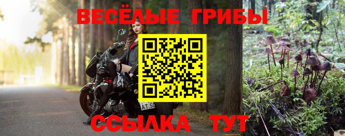 Псилоцибиновые грибы мицелий Минусинск